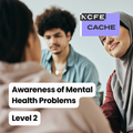 Certificate in Awareness of Mental Health Problems Level 2