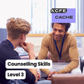 Diploma in Counselling Skills Level 3
