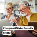 Certificate in the Principles of Cyber Security Level 2
