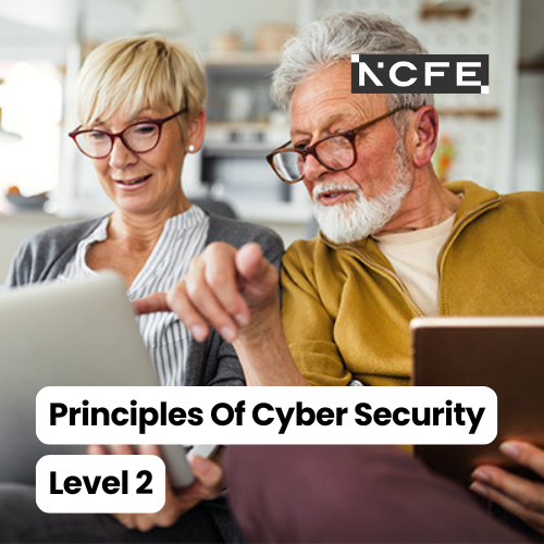 Certificate in the Principles of Cyber Security Level 2