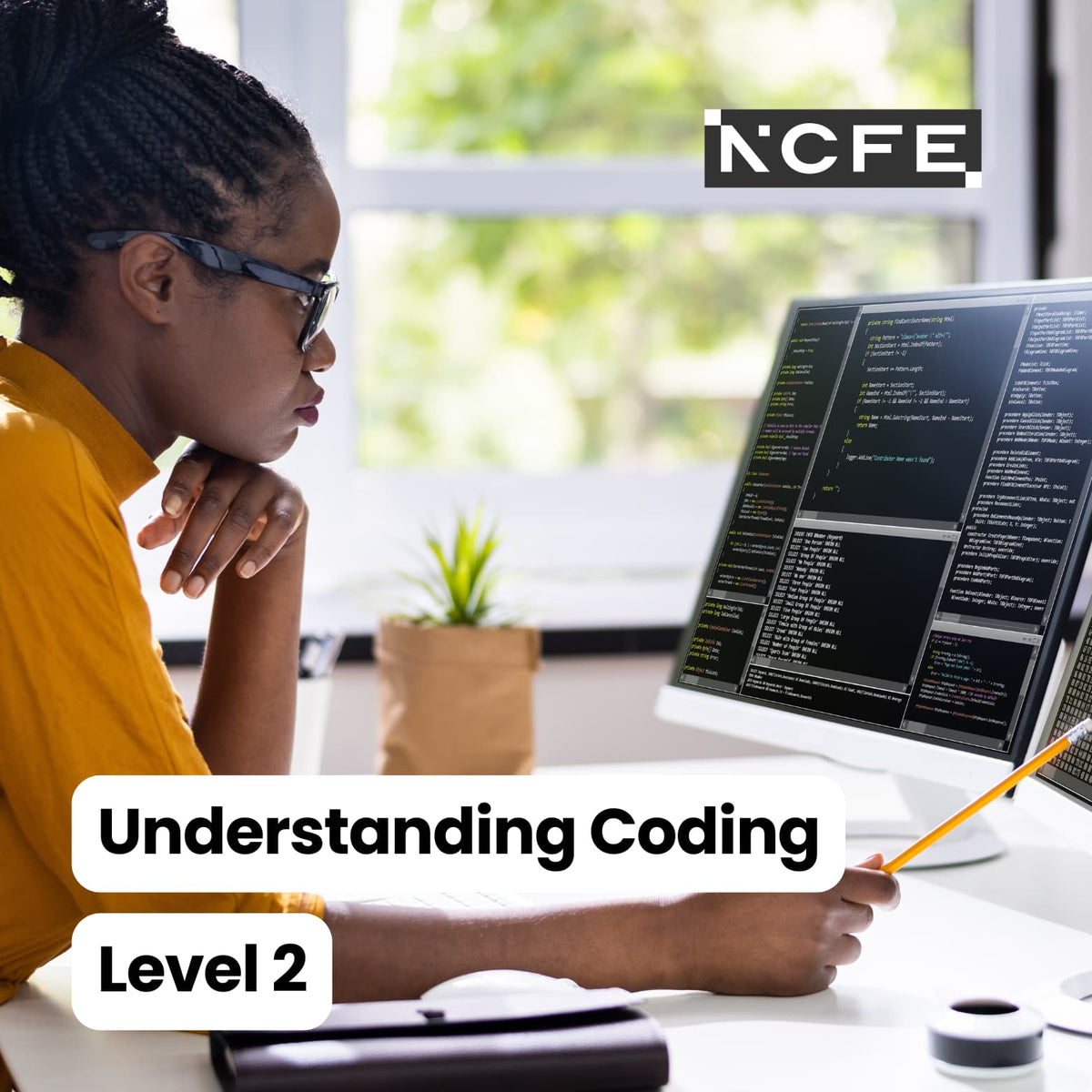 Certificate in Understanding Coding Level 2