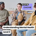 Certificate in Understanding Mental Health Level 3